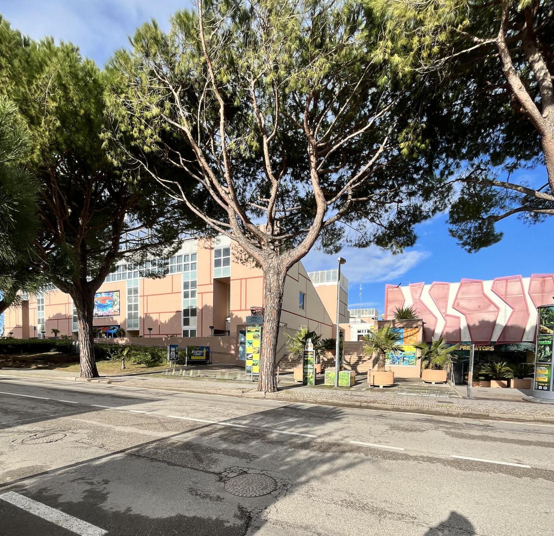 Apartment Centrale, A Pochi Passi Dalla - Greta